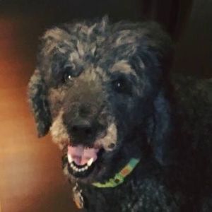 Meet your Posher, Marsha